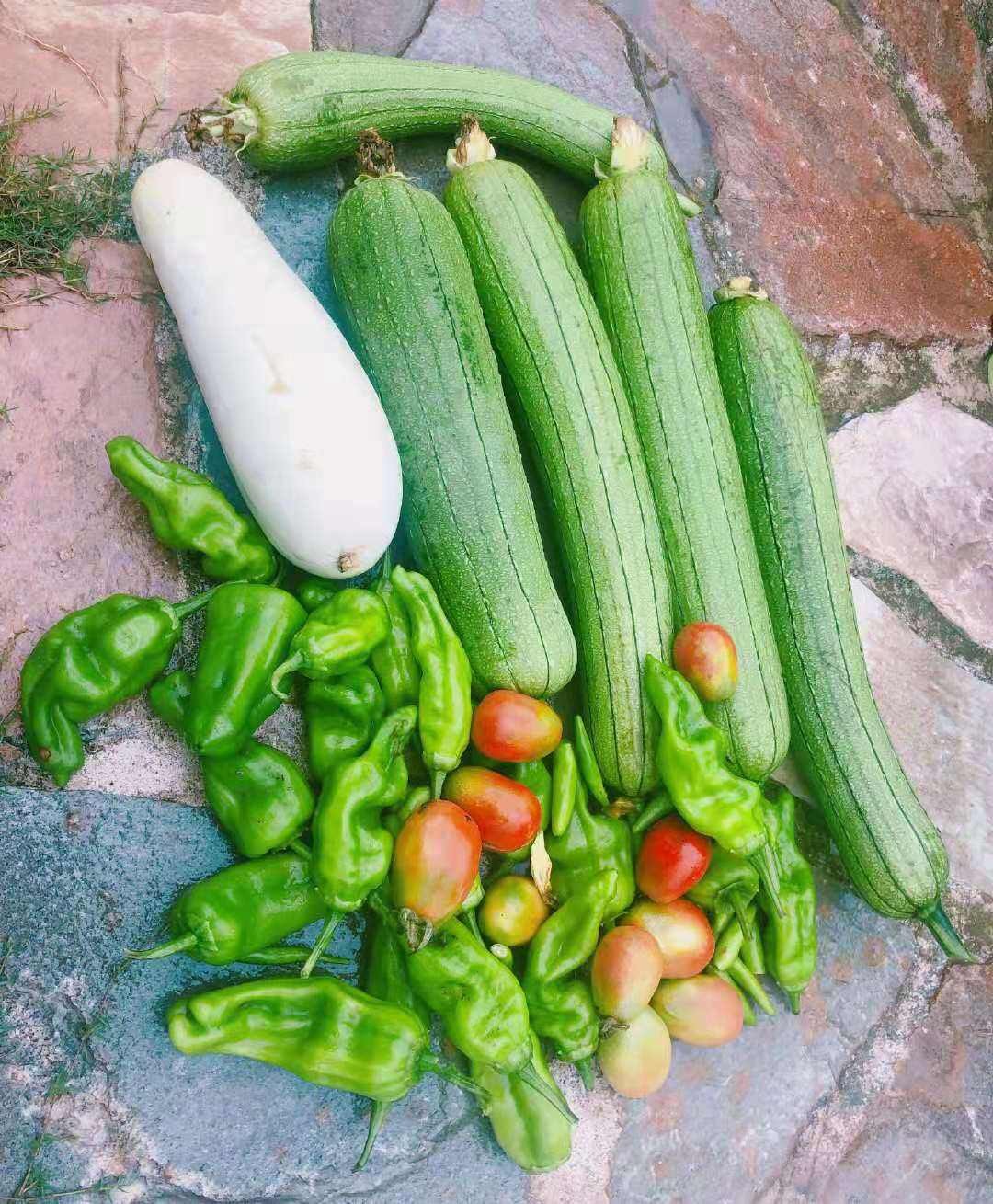 张馨予晒自家菜园无意间曝光豪宅！张馨予弃北京豪宅在广州安家!
