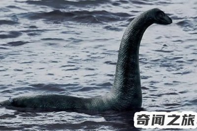 ​世界至今十大未解之谜（世界十大未解之谜都有哪些）