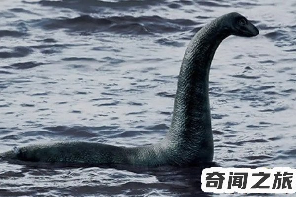 世界至今十大未解之谜（世界十大未解之谜都有哪些）(1)_
