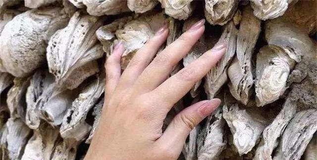 中国最特别的古建筑，用生蚝壳做成距今已600年，真正的“蚝宅”