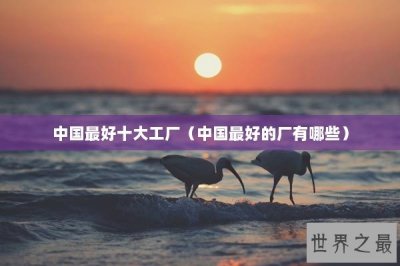 ​中国最好十大工厂（中国最好的厂有哪些）