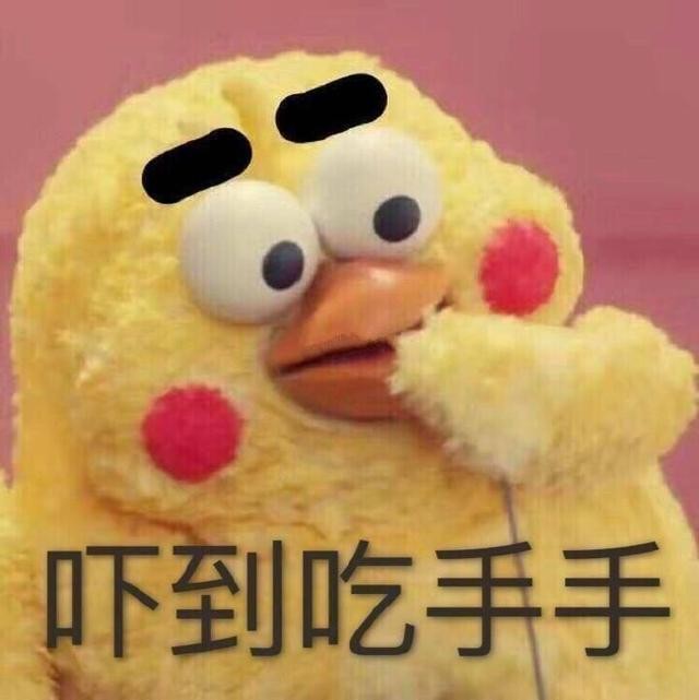 火爆网络的鹦鹉表情包！最全无水印！快进来看！
