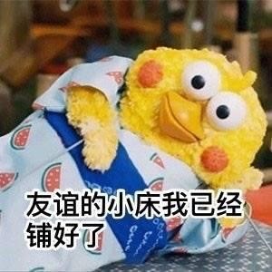 火爆网络的鹦鹉表情包！最全无水印！快进来看！