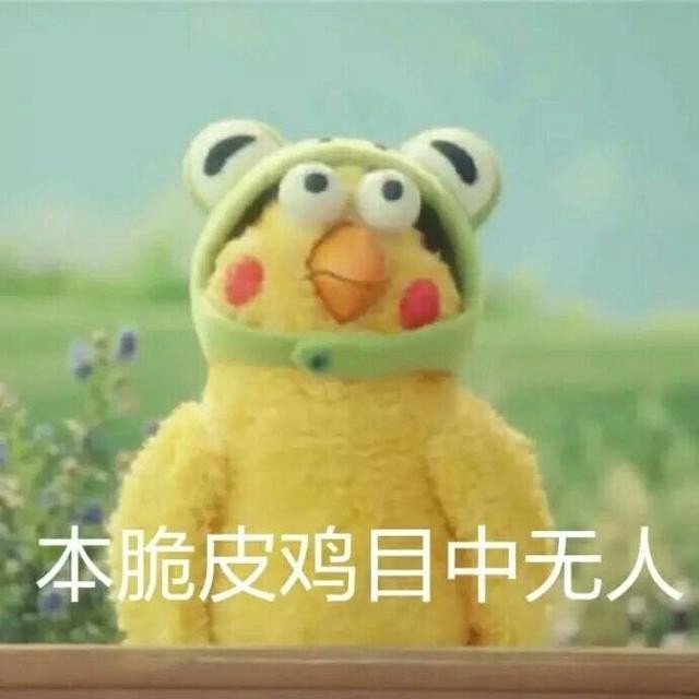火爆网络的鹦鹉表情包！最全无水印！快进来看！