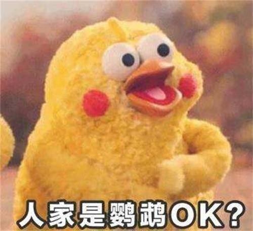 火爆网络的鹦鹉表情包！最全无水印！快进来看！