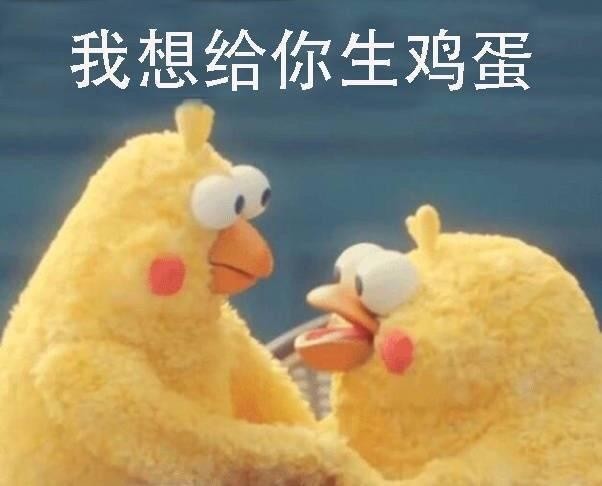 火爆网络的鹦鹉表情包！最全无水印！快进来看！