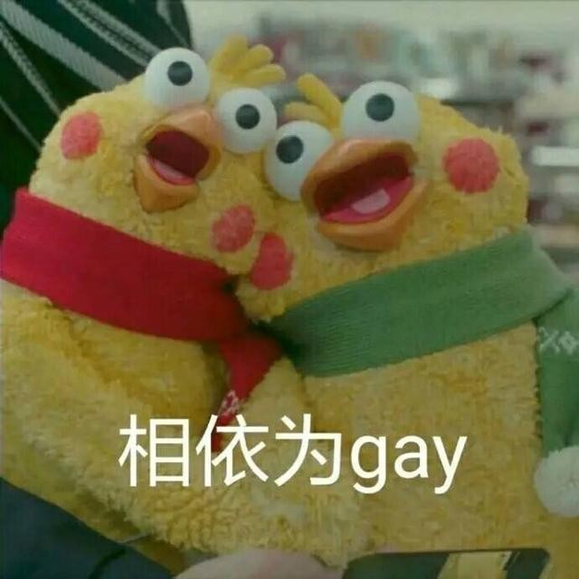 火爆网络的鹦鹉表情包！最全无水印！快进来看！