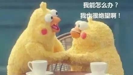 火爆网络的鹦鹉表情包！最全无水印！快进来看！