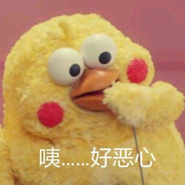 火爆网络的鹦鹉表情包！最全无水印！快进来看！