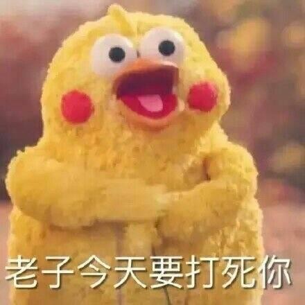 火爆网络的鹦鹉表情包！最全无水印！快进来看！
