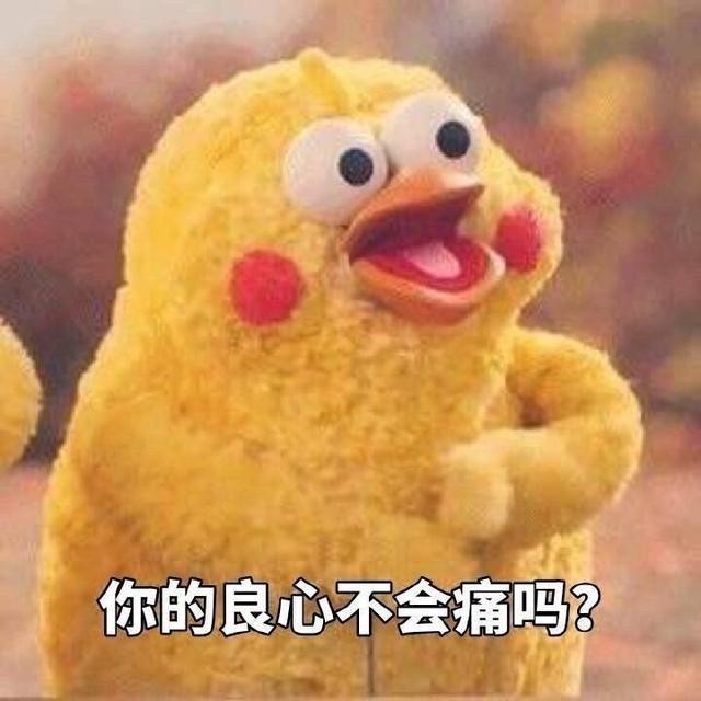 火爆网络的鹦鹉表情包！最全无水印！快进来看！