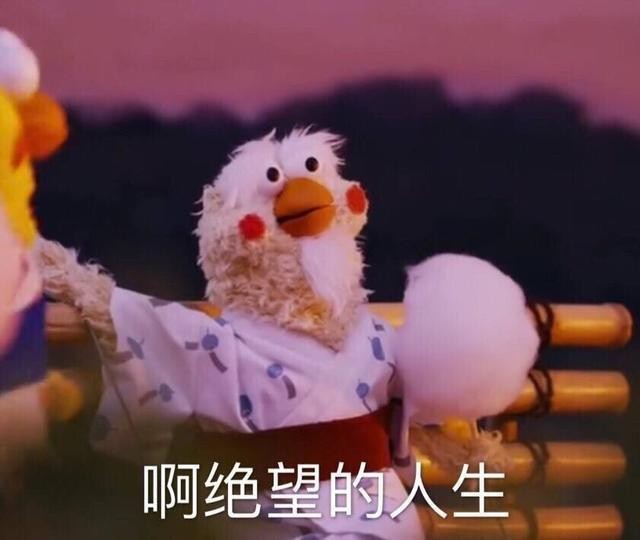 火爆网络的鹦鹉表情包！最全无水印！快进来看！