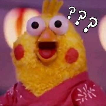 火爆网络的鹦鹉表情包！最全无水印！快进来看！