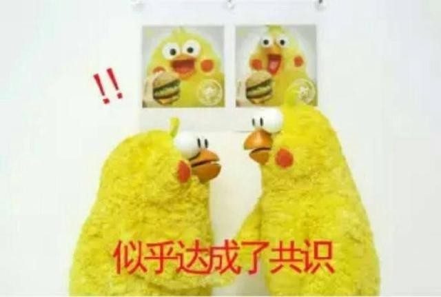 火爆网络的鹦鹉表情包！最全无水印！快进来看！