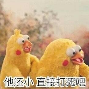 火爆网络的鹦鹉表情包！最全无水印！快进来看！