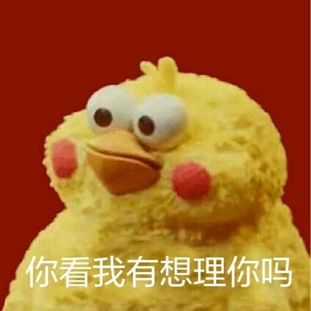火爆网络的鹦鹉表情包！最全无水印！快进来看！