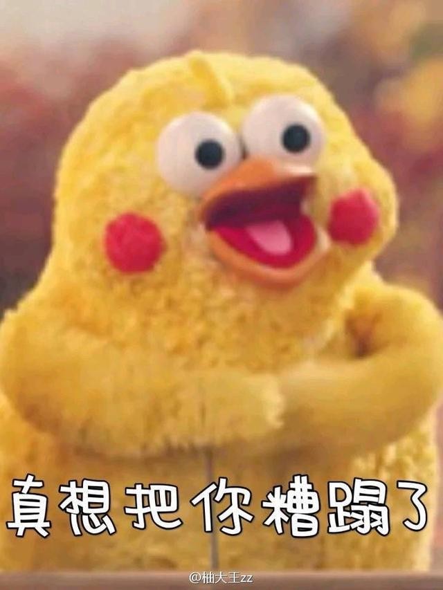 火爆网络的鹦鹉表情包！最全无水印！快进来看！