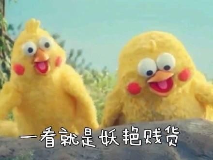 火爆网络的鹦鹉表情包！最全无水印！快进来看！