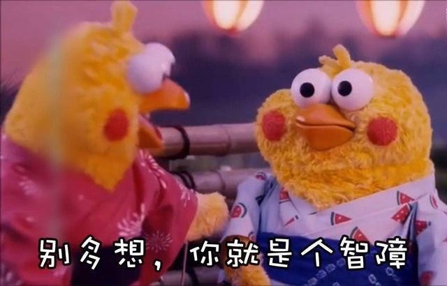 火爆网络的鹦鹉表情包！最全无水印！快进来看！