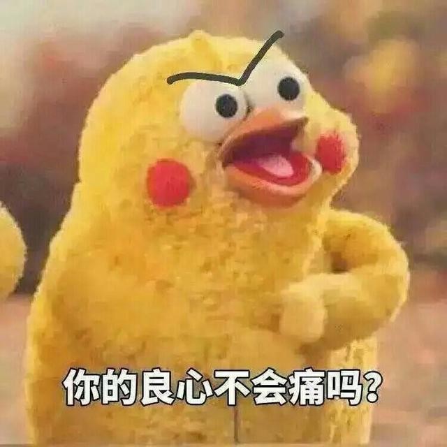 火爆网络的鹦鹉表情包！最全无水印！快进来看！