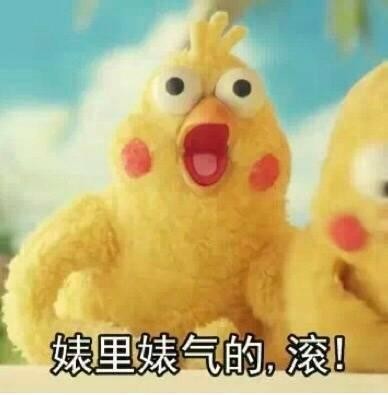 火爆网络的鹦鹉表情包！最全无水印！快进来看！