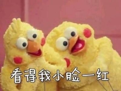 ​火爆网络的鹦鹉表情包！最全无水印！快进来看！