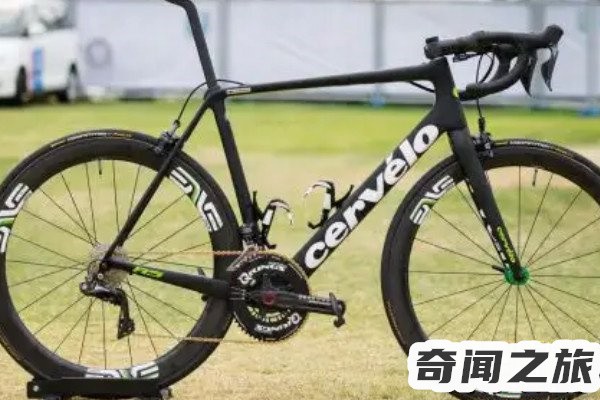 全球最贵自行车（崔克蝴蝶以500万美元的价格成交折合人民币3200多万元）(5)_