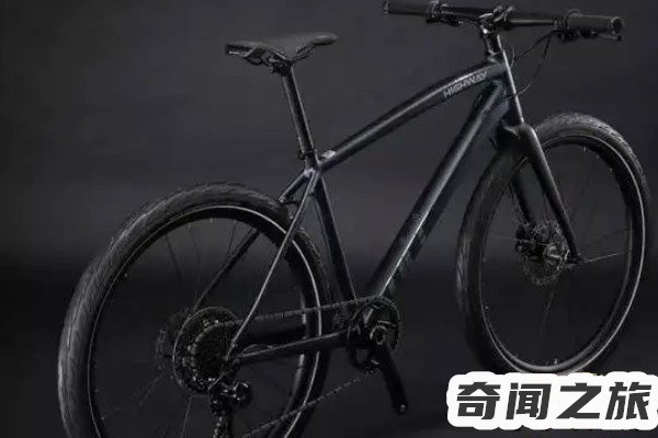 全球最贵自行车（崔克蝴蝶以500万美元的价格成交折合人民币3200多万元）(2)_