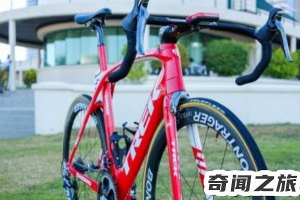 全球最贵自行车（崔克蝴蝶以500万美元的价格成交折合人民币3200多万元）(4)_