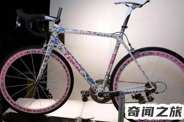 全球最贵自行车（崔克蝴蝶以500万美元的价格成交折合人民币3200多万元）(1)_