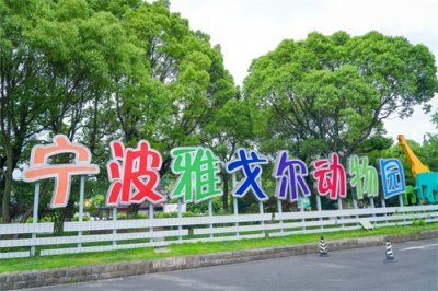 ​宁波亲子游，打卡当地最美的动物园