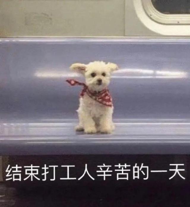 有哪些好看的先婚后爱泰剧（先婚后爱的梗永不过时）(16)