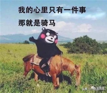 ​Pony马和马化腾有什么关系，你知道Pony马指的是哪种马吗？