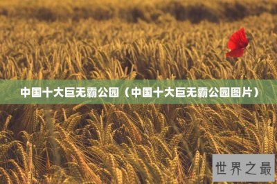​中国十大巨无霸公园（中国十大巨无霸公园图片）