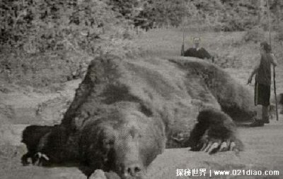​北海道三毛别罴事件是真的吗，真实存在(复原现场真实图片)