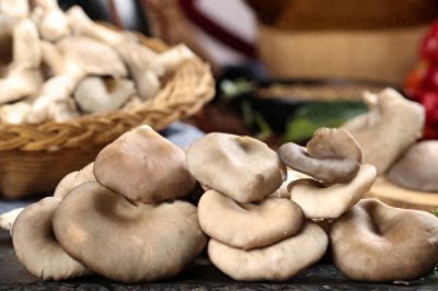 ​轻松掌握平菇种植技术，实现丰收梦想！