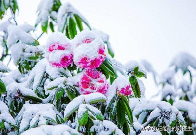 ​什么样的人容易得肿瘤？