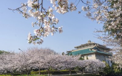​武大樱花节丨一起解锁赏樱新姿势 →