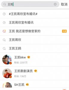 ​王凯蒋欣公布恋情（王凯蒋欣宣布婚讯）
