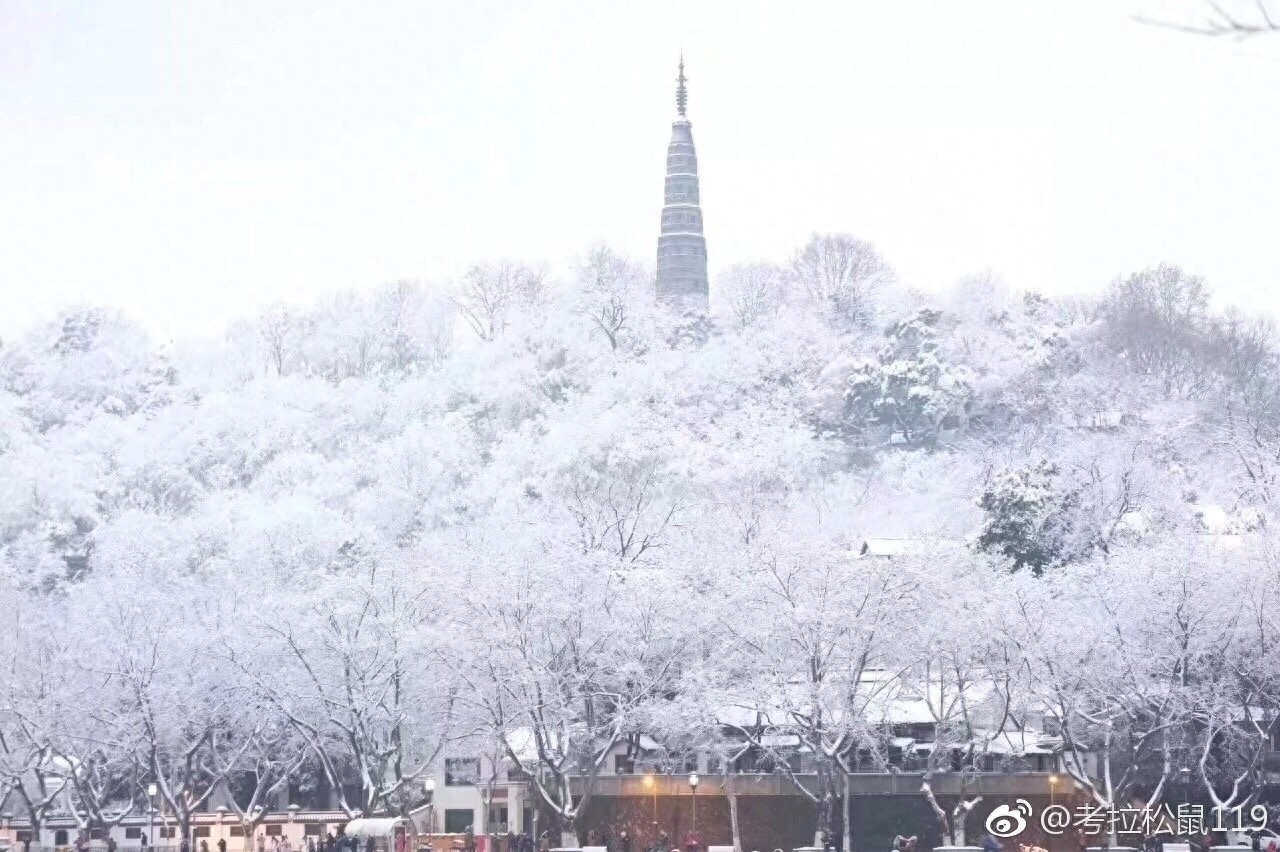 寒潮凶猛，大暴雪袭击杭州！积雪10厘米以上一夜变雪城