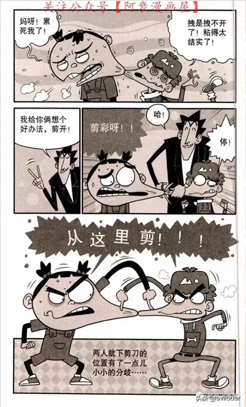 阿衰和大脸妹意外连体！大脸妹害羞的盖上红盖头。