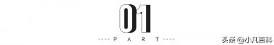 ​挖掘机开动！“喊拆”6年，珍珠乐园真要消失了！