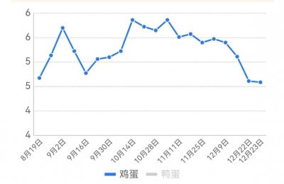 ​「今日鸡蛋」数日的跌价，终于停止，明日蛋价上涨？明日蛋价预测