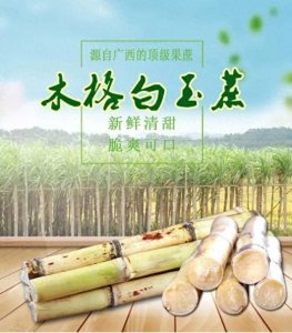 ​白玉甘蔗之乡——木格
