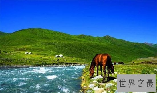 世界十大最短河流,坦波拉西河仅20米!