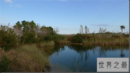 世界十大最短河流,坦波拉西河仅20米!