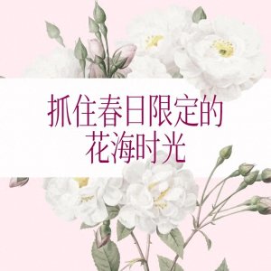 ​地理冷知识——西班牙的花海