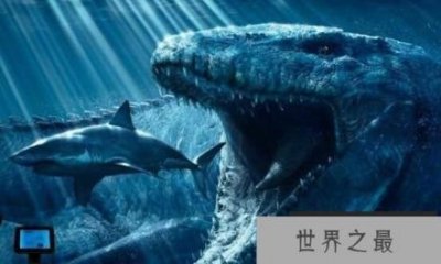 ​世界三大可怕的鲨鱼：巨齿鲨排在第一名