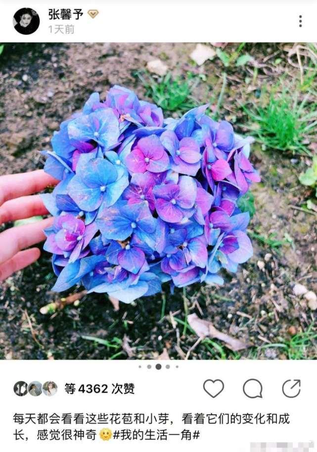 女明星晒体重：杨幂被赞神仙体质张馨予的最真实迪丽热巴不要太皮