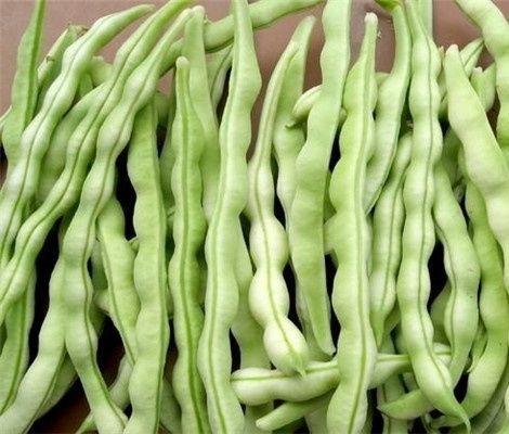 芸豆5种最好吃的家常做法，每种都简单美味，超级下饭胃口大开